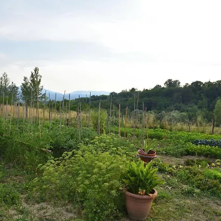 Il Fienile Di Margherita Vicchio