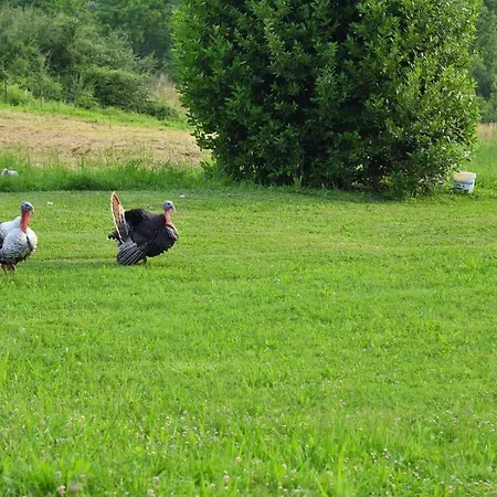 Il Fienile Di Margherita *